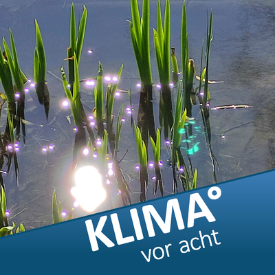 Grannies for future Köln