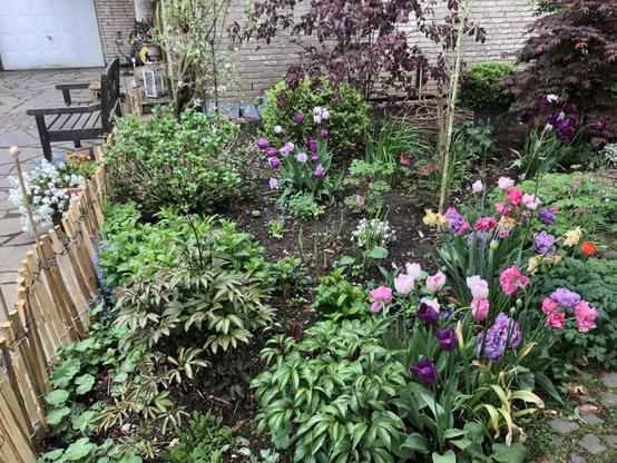 Arbeitskreis Grüne Zukunft des Runder Tisch Dellbrück